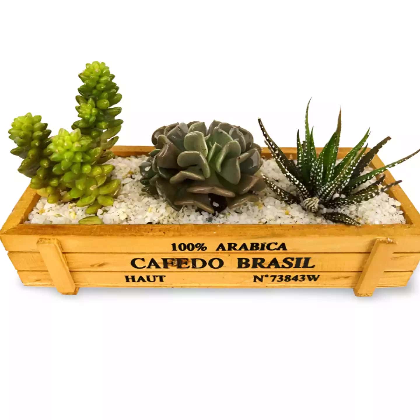Ensemble de succulentes dans une jardinière en bois M013