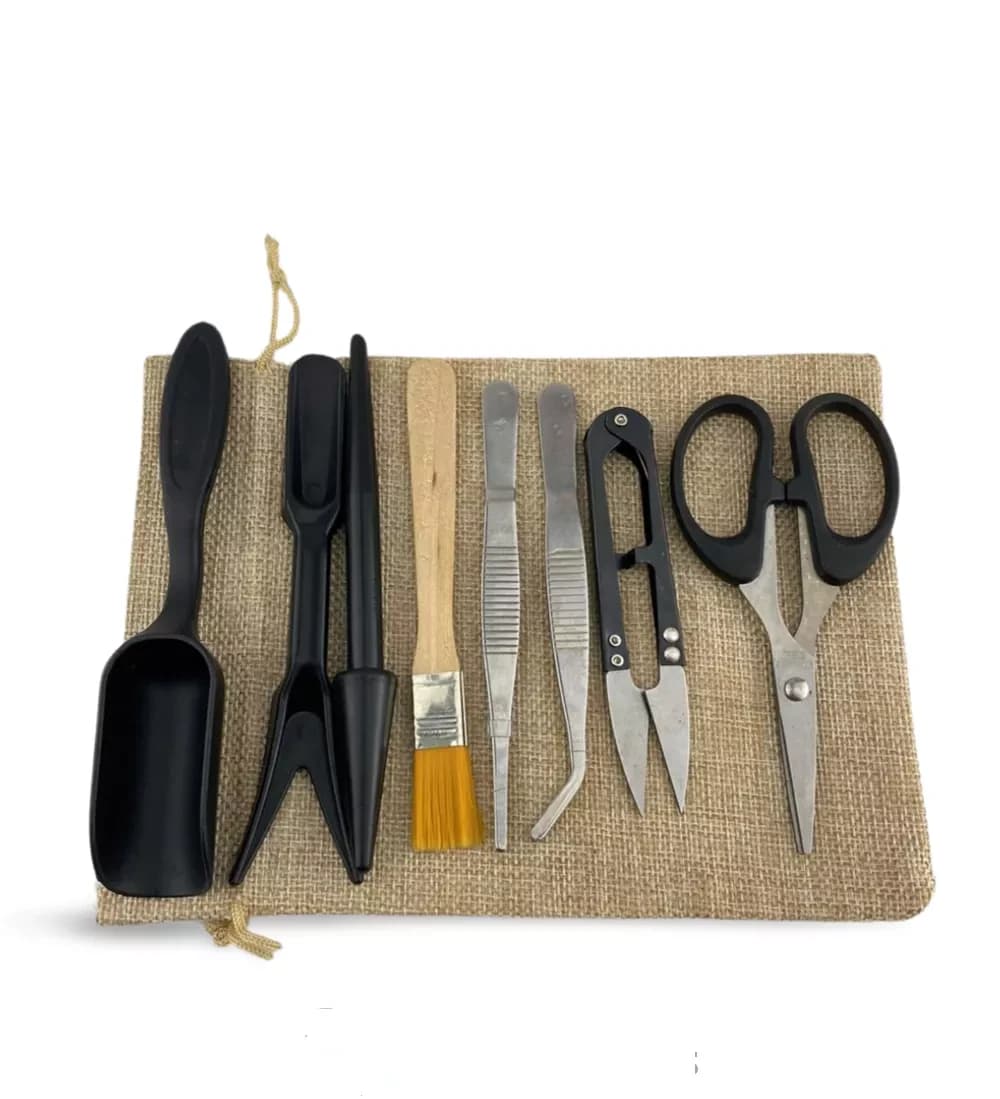 Kit d'outils de transplantation et de soins