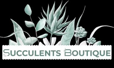 Succulents Boutique