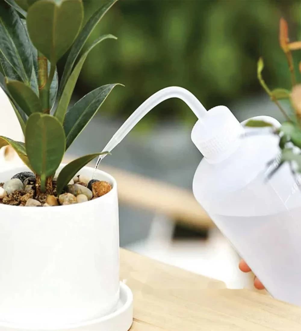 Arrosoir Spécial pour Plantes Succulentes