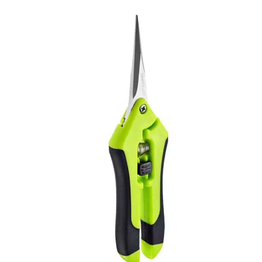 Ciseaux de Taille Spéciale pour Succulentes et Cactus