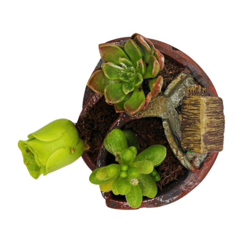 Ensemble Escalier Succulent vers le Ciel — photo principale