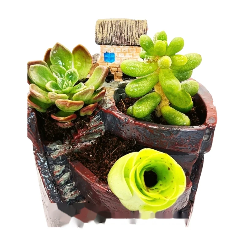 Ensemble Escalier Succulent vers le Ciel